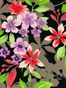 Black/Orchid/Shadow Brown/Multi Cotton/Lycra Floral Print Poplin Shirting 58W