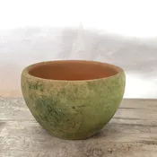 Aged Coquito Planter