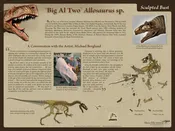 Allosaurus sp. BIG AL TWO Sculpted Bust – Display Poster – Media Display