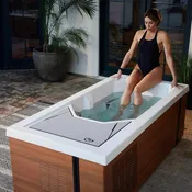 Alpine Terrain Chilly Goat Cold Tub by Master Spas