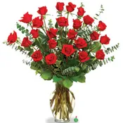 Two Dozen Red Roses Premium