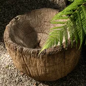 Himachal Wooden Wash Basin Planter