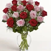 24 Ultimate Elegance™ Long Stem Pink & Red Roses