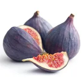 Black Mission Fig Tree