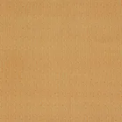 108" Line Up Quilt Backing - White on Orange