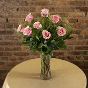 One Dozen Pink Roses