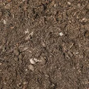 Master Blend Turf Mix