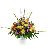 Nature's Canvas  -  WFS0268