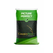 PicturePerfect