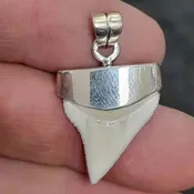 .925 Silver Cap Oceanic White Tip Shark Tooth – OWTCap-07