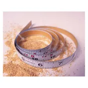 Model 0012R 1/2″ X 12′ Adhesive Backed Steel Tape Measure–Reads L to R
