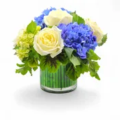 Harmonious Hydrangea