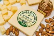Cheese Brothers - Rhapsody