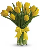 10 Tulips Vased