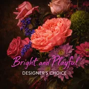 Bright and Playful Designer Choice - WFS0716