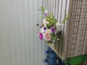 Spring Flower Club