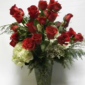 Roses spectaular