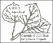 Aspen Leaf #1