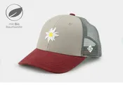BC Edelweiss Sommermesh-grau