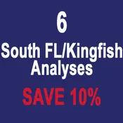 6 ANALYSES SOUTH FLORIDA/KINGFISH