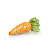 24 Carrots | Carrot Mini