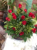 24red — Minervas Flowers