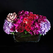 ABUNDANCE