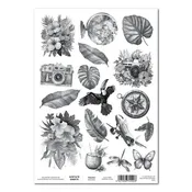 3Quarter Designs A4 Acetate - Tropic