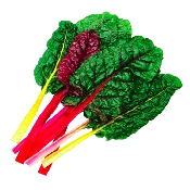 Bright Lights Swiss Chard