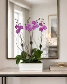 C1815 - Live Orchid Arrangement