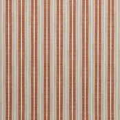 Ribbon Stripe Persimmon