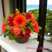 Bloom0417