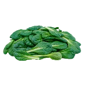 Classic Tatsoi