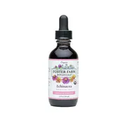 Echinacea Extract-ORGANIC
