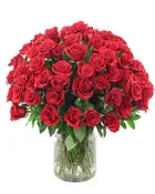 101 Roses