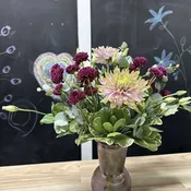 Shades of Purple