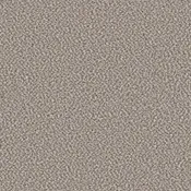 Shaw Floors Carpet Break Away (B) Canvas 00130_5E242