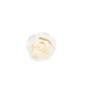 1-1/8" Rose w/ Calyx - Petite - Ivory
