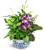 Sweet Memory Planter