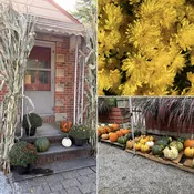 Fall Porch Bundle — Grace Brothers Farm, Nursery & Supply