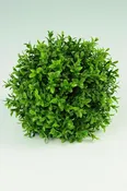 Boxwood Ball