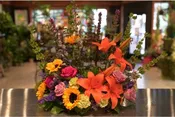 COLORFUL BLOOMS