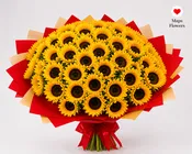 🌻 50 PREMIUM SUNFLOWERS BOUQUET 🌻
