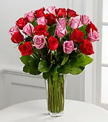 12, 18 OR 24 CLASSIC PINK AND RED