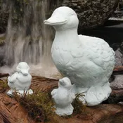 Duck and Ducklings