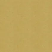 Chambray Mustard