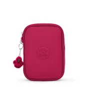 100 Pens Case