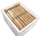 10" x 13" (25.4 cm x 33.02 cm) Baggie