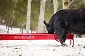 10' METAL GRAIN FEEDER