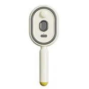 Multi functional massage comb Electric Steam Hair Brush With  USB-C Charging.